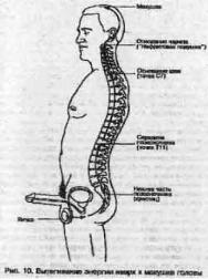 ��� - ������� �������. ���������������� �������, ��������� �������