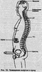 ��� - ������� �������. ���������������� �������, ��������� �������