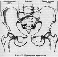 ��� - ������� �������. ���������������� �������, ��������� �������