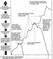 ��� - ������� �������. ���������������� �������, ��������� �������