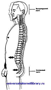 ������ - �������� ������� �����