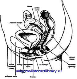 ������ - �������� ������� �����