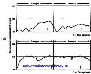 ������ - �������� ������� �����