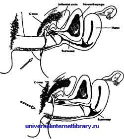 ������ - �������� ������� �����