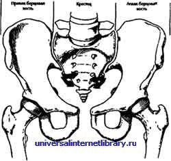 ������ - �������� ������� �����