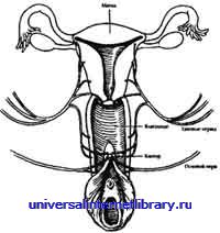 ������ - �������� ������� �����