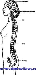 ������ - �������� ������� �����