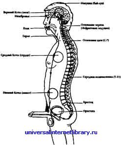 ������ - �������� ������� �����