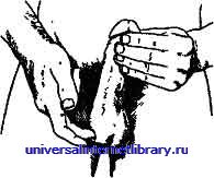 ������ - �������� ������� �����