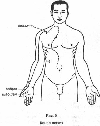 ���� - �������� ��������������� ����������