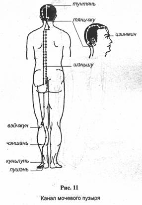 ���� - �������� ��������������� ����������