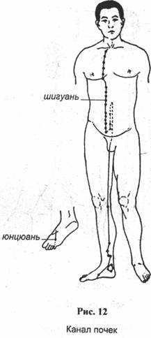 ���� - �������� ��������������� ����������