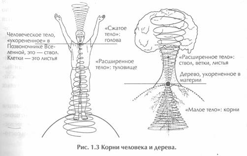 ������ - ��������� �������� Ii. �������� ����������