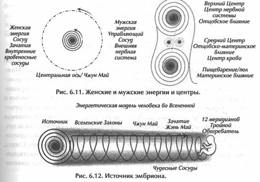 ������ - ��������� �������� Ii. �������� ����������