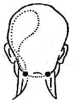 �������� - ����-��������� ����� ����������