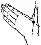 �������� - ����-��������� ����� ����������