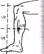 �������� - ����-��������� ����� ����������