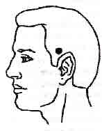 �������� - ����-��������� ����� ����������