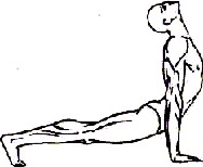 ������ - ��� �����������-������� ������ ��������� ���