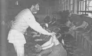 �������� - �� ���� �� ��������� ����� ������. ��� ������� ��������� ����