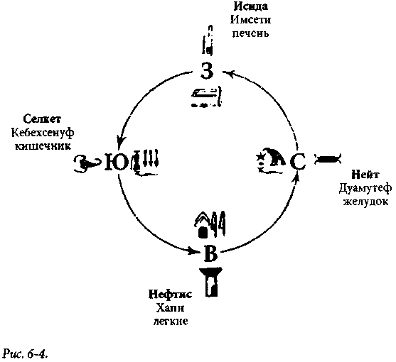 ����� �������