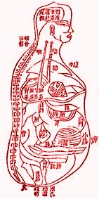 ������� - ������������ ����� �����. ������� ������� � ����