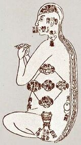 ������� - ������������ ����� �����. ������� ������� � ����