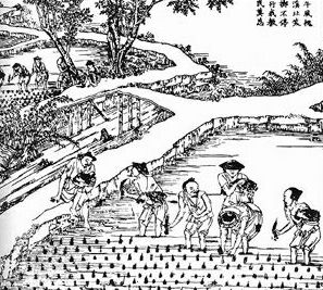 ������� - ������������ ����� �����. ������� ������� � ����