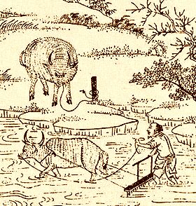 ������� - ������������ ����� �����. ������� ������� � ����