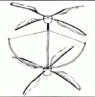 ������� - ������������ ����� �����. ������� ������� � ����