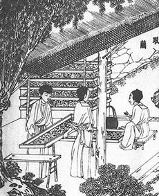 ������� - ������������ ����� �����. ������� ������� � ����