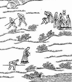 ������� - ������������ ����� �����. ������� ������� � ����