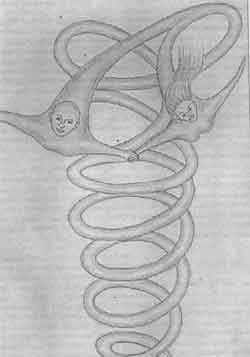 �������� - �� ���� �� ��������� - ��� �������, ��� �� ������