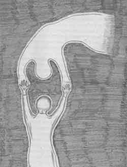 �������� - �� ���� �� ��������� - ��� �������, ��� �� ������