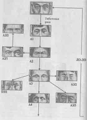 ���� �������� ������������ �� ������� ����