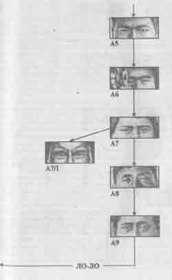 ���� �������� ������������ �� ������� ����