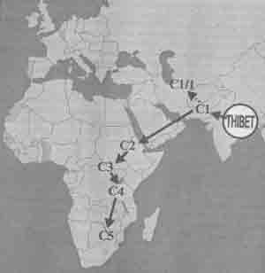 ���� �������� ������������ �� ������� ����