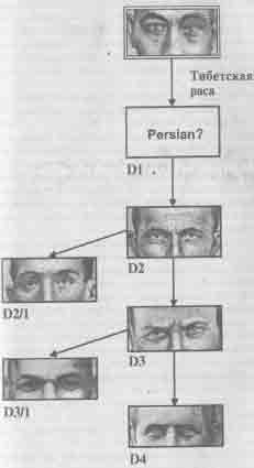 ���� �������� ������������ �� ������� ����