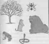 ���������� ������