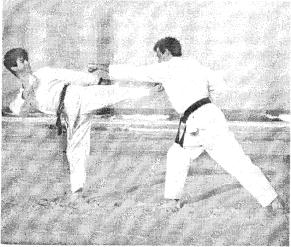 ������ - ���� � ����. ������� �������� ���������