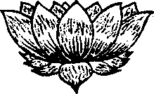 ����p�� - ����� � ����