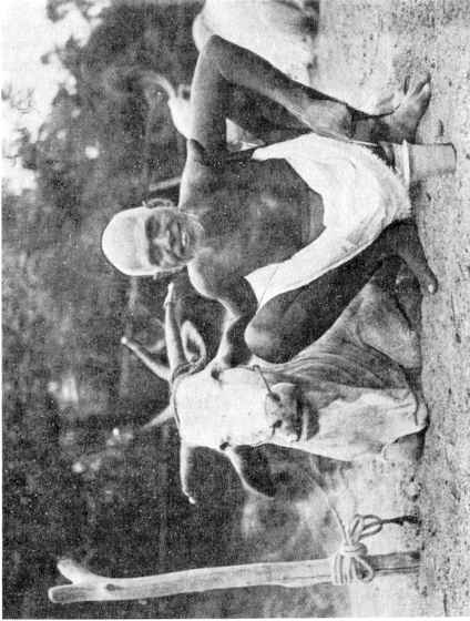 Махаpши - Жизнь И Путь