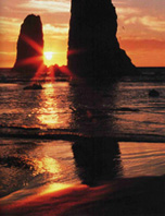 ����� - � ������� ����� ����