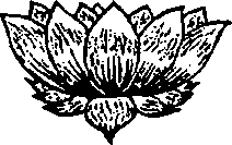 ���� - ����� ��� ������