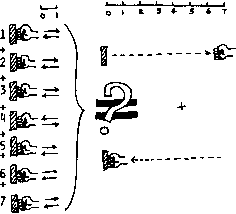 ���� �������� � �������� ���������� ����