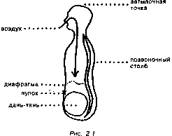 �� ���������� ������� ���-���