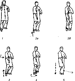 ������������ �������� ���-���