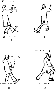 ������������ �������� ���-���