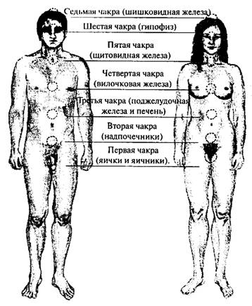 ����� - ������� ������ ��� ������