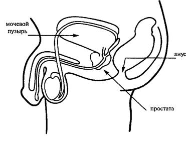 ����� - ������� ������ ��� ������